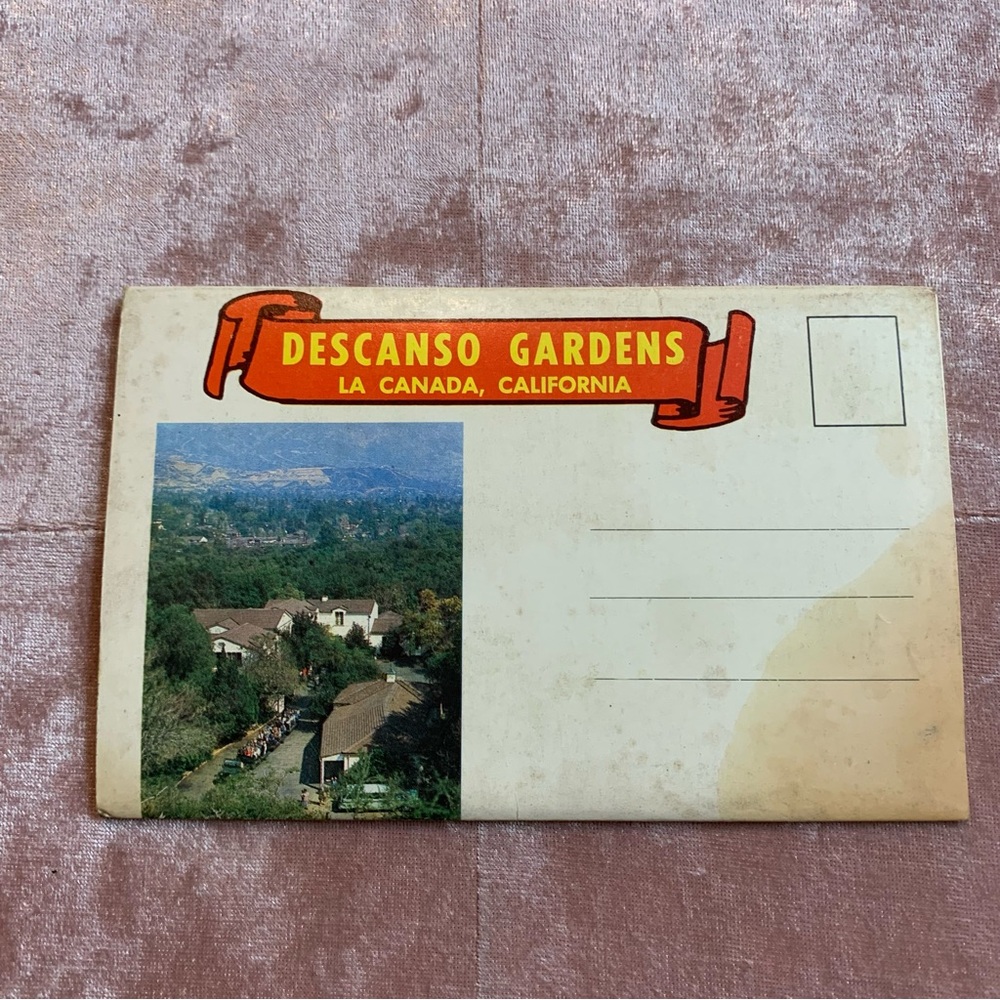 Vintage 4x6 Collection of Photos of Descanso Gardens Souvenir